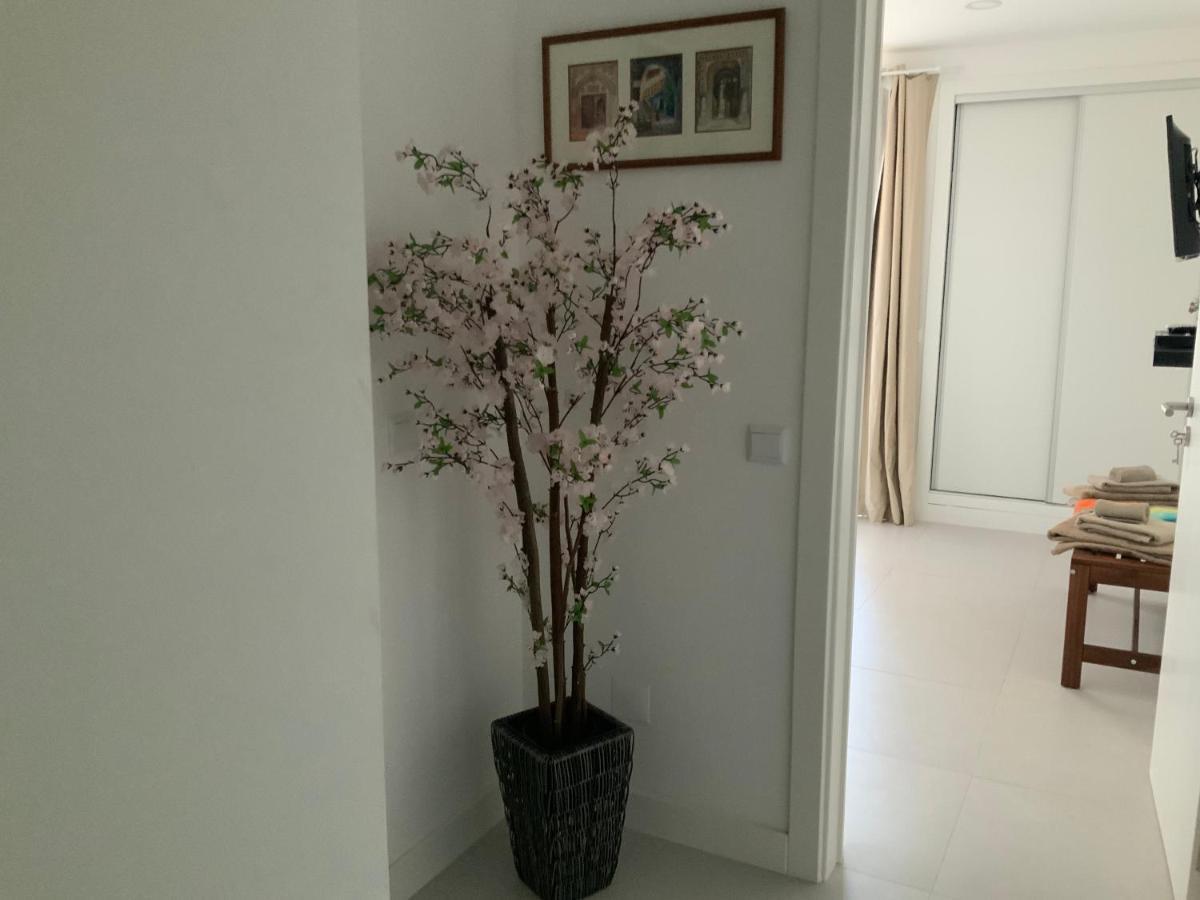 Duplex Buganvilias Vue *